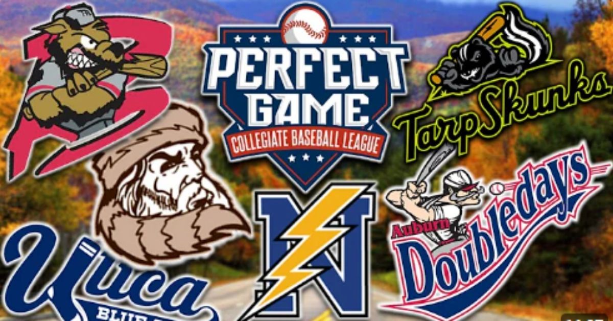 best collegiate summer baseball leagues